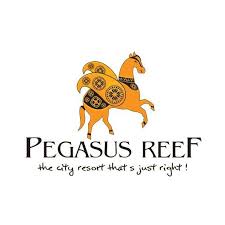 17.Pegasus Reef